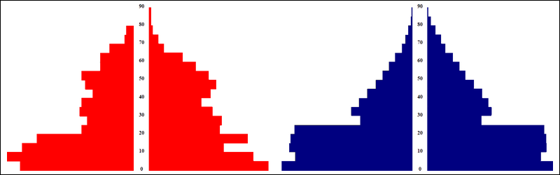 Bruffière-Cambodge_MenV-800