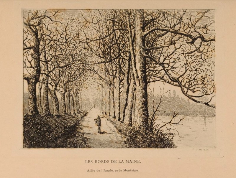 1884-1890_Allée-lAnglais_MenV-800