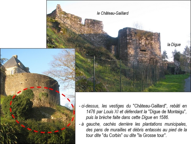 Montaigu_château-gaillard-800
