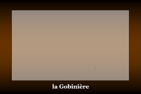 480x320_0gobiniere