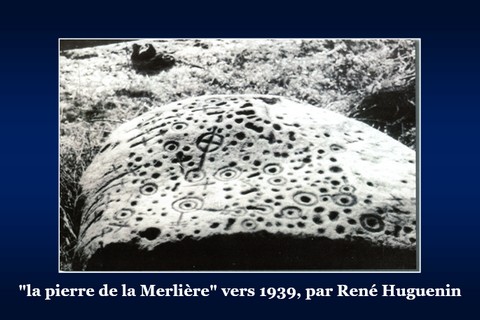 480x320_0merliere