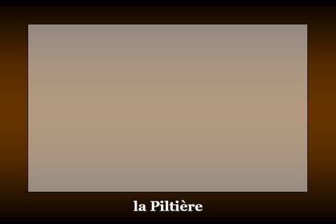 480x320_0piltiere