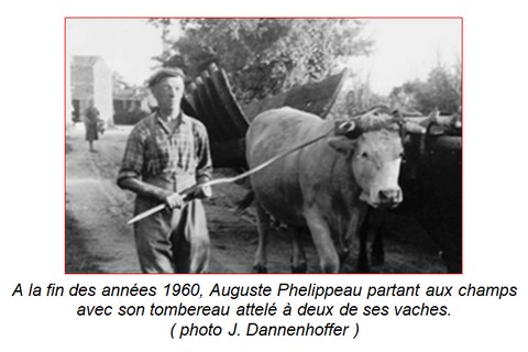 480x320_auguste-phelippeau