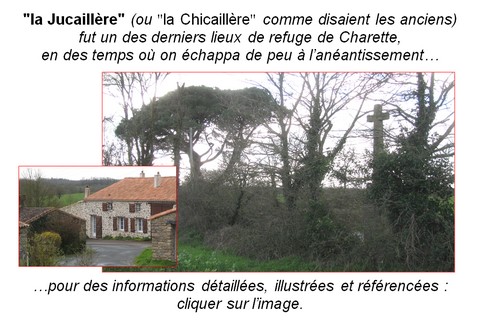 480x320_jucaillere