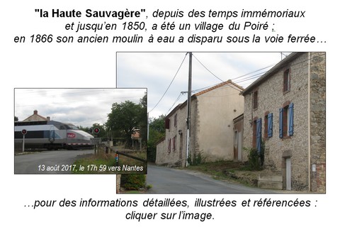 480x320_sauvagere-haute