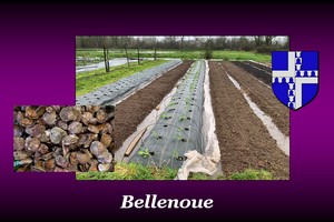 300x200_Bellenoue