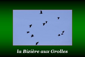 300x200_Bizière