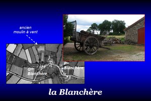 300x200_Blanchère