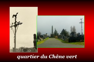 300x200_Chêne-vert