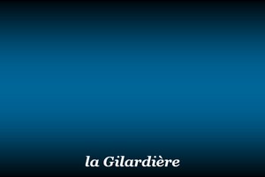 300x200_Gilardière