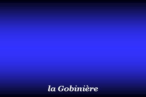 300x200_Gobinière