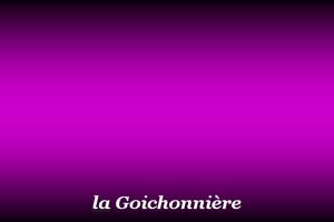 300x200_Goichonnière