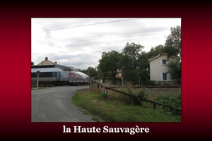 300x200_Haute-Sauvagère
