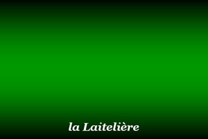 300x200_Laitelière
