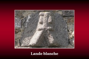 300x200_Lande-blanche