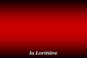 300x200_Loritière
