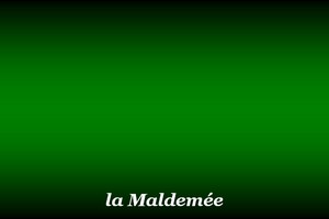 300x200_Maldemée