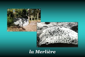 300x200_Merliere
