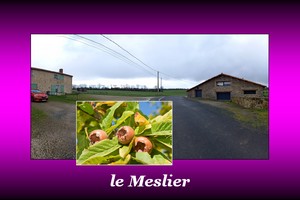 300x200_Meslier