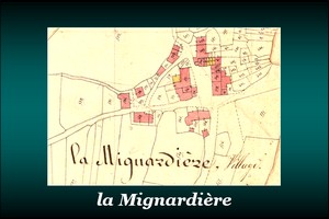 300x200_Mignardière