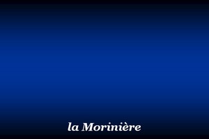 300x200_Morinière