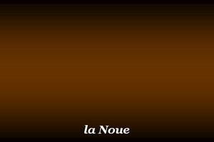300x200_Noue