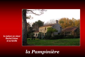 300x200_Pampinière