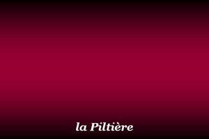 300x200_Piltière