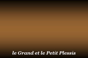 300x200_Plessis