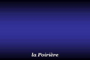 300x200_Poirière