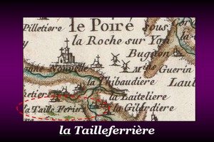 300x200_Tailleferrière