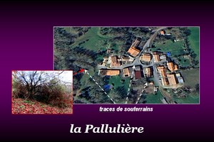 300x200_palluliere