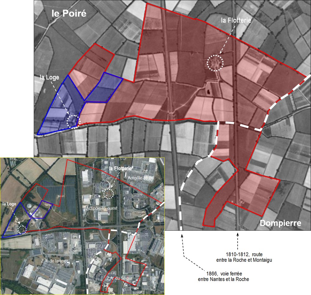 Flotterie_1950-2025_MenV-1000