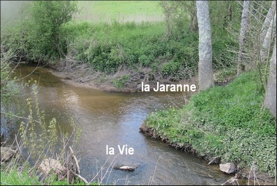 Jaranne-embouchure_MenV-400
