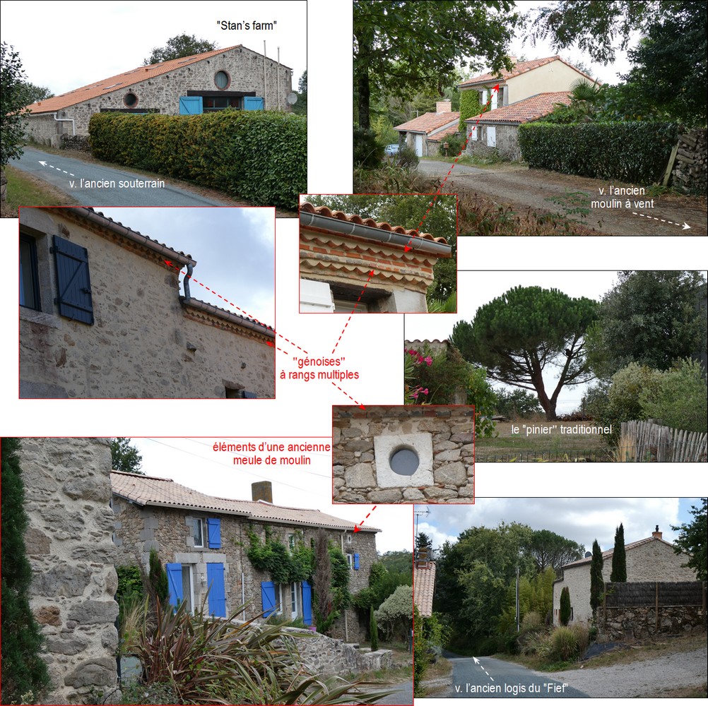 Mignardiere-2025_MenV-1000