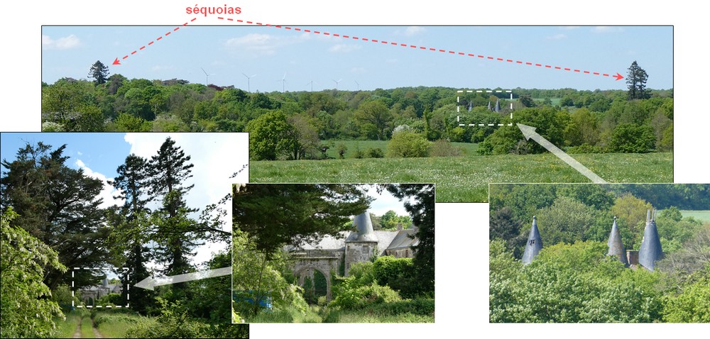 Métairie-séquoias_MenV-1000