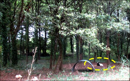 Roulière_débroussaillage_MenV-500