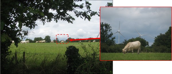 Roulière_pont-Charette_MenV-600
