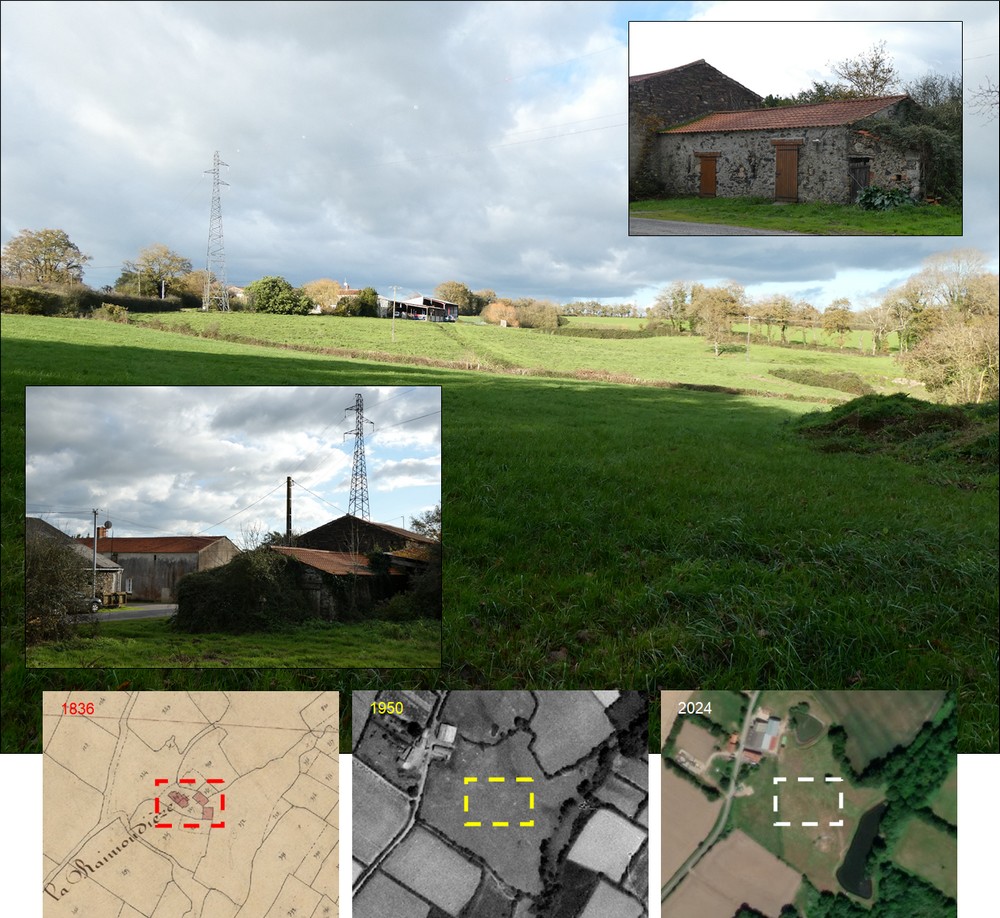 raymondiere-photos_MenV-1000